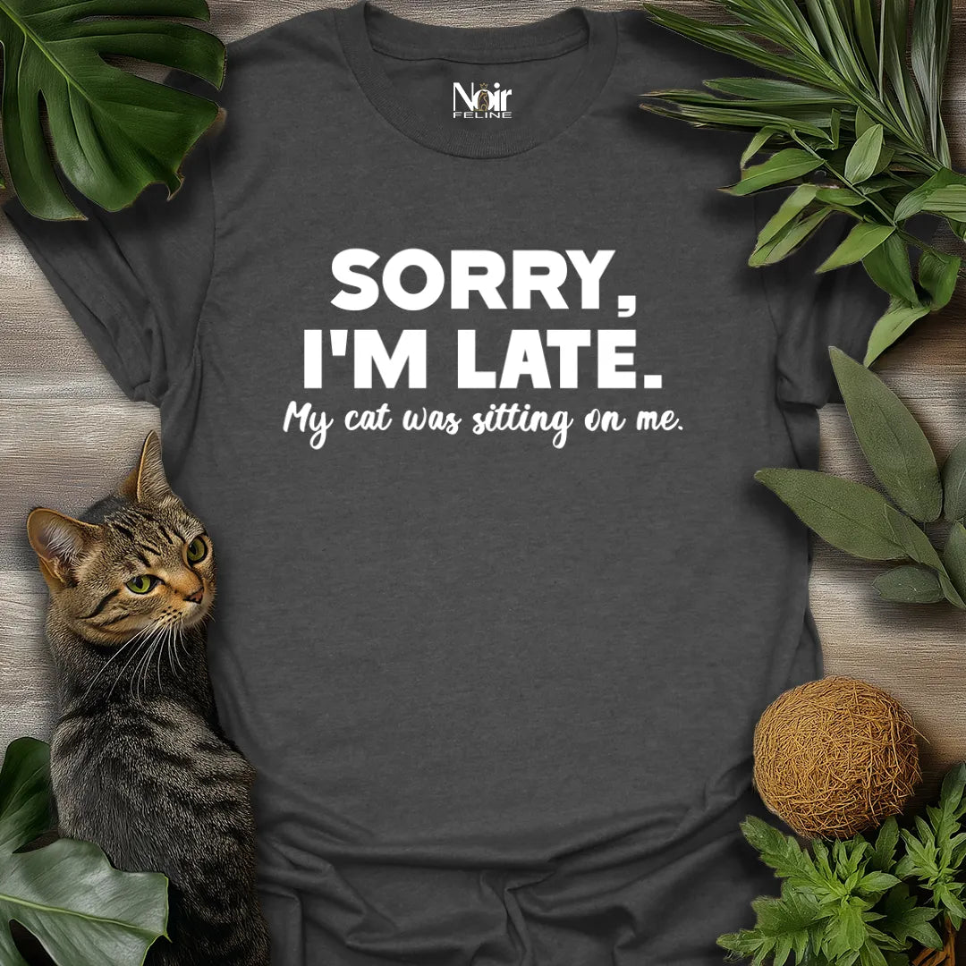 Sorry, Cat Delayed Me