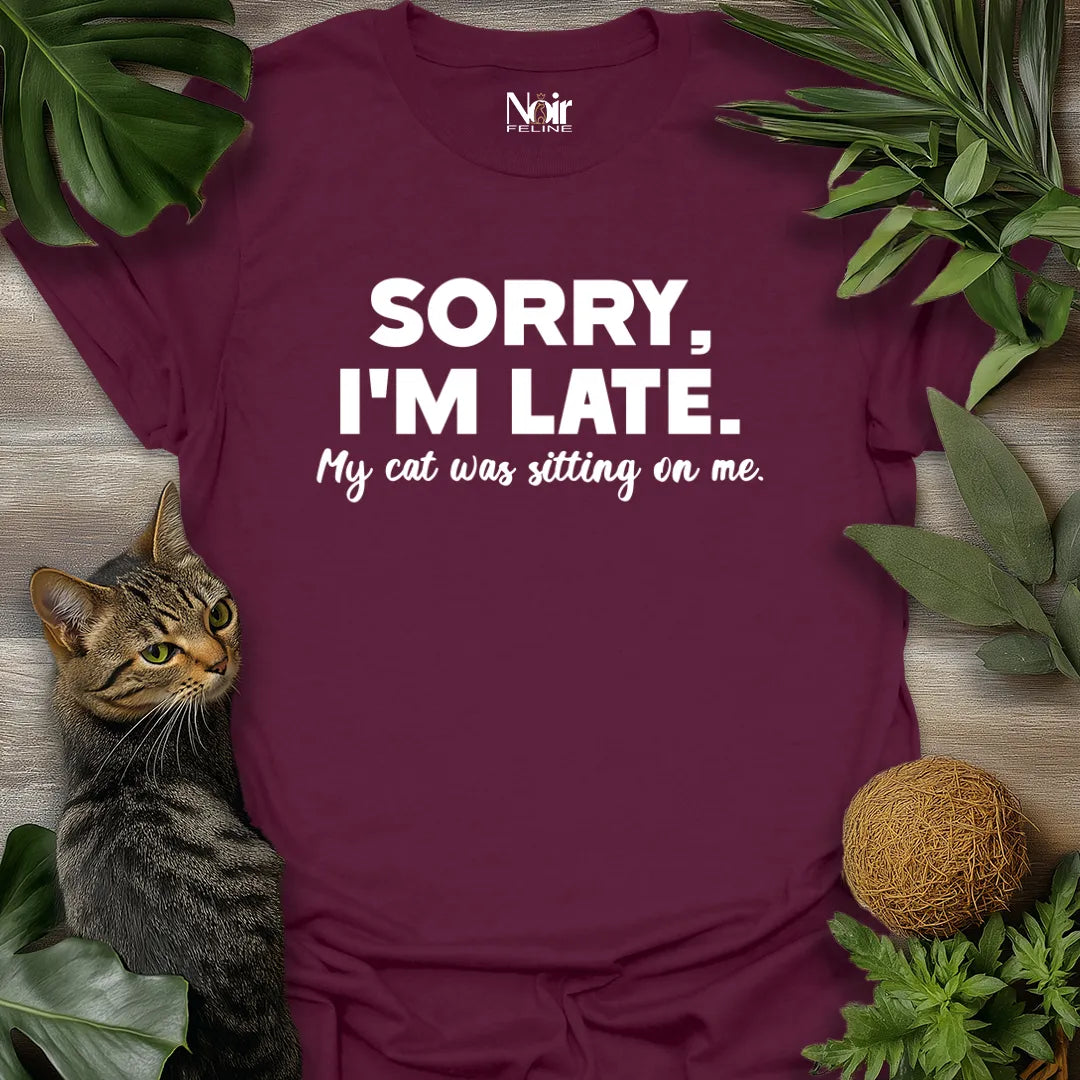 Sorry, Cat Delayed Me